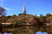韓国人「異国的な東京都心にある庭園を見てみよう」