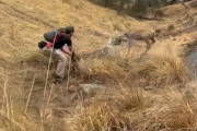 【海外】ゴミに絡まった野生動物が人の手の中で癒される！奇跡の救出劇に感動の声続出