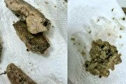 【韓国】ホルモンから牛のエサや排泄物が出て来て騒動 → 韓国人「お金を払ってウンコを食べていたなんて...」