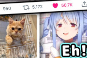 兎田ぺこらさん、自分の飼っている猫に”いいね”数で負けてしまうｗｗｗ【ホロライブ】