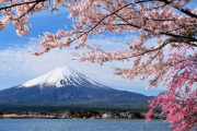 韓国人「どうして韓国人が日本を『素晴らしい国』と感じるのか？その秘密を解説…」　韓国の反応