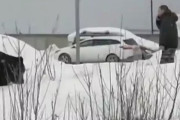 野生の熊が接近している状況で、電話を優先した結果…海外の反応