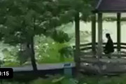 海外「大自然が美しい！これは気持ち良さそうだ！」自然の中を自転車で駆け抜ける光景が海外で話題に！
