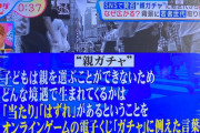 韓国人「韓国の金スプーン土スプーンの意味で日本の若者たちが最近使う言葉」