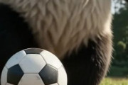 中国人「サッカー日本代表FWがプレミアリーグ初ゴール！」　中国人「フィニッシュが本当に強い」「羨ましくて妬ましくて恨めしい」
