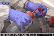 韓国人「このまま行けば国が滅びる」日韓貿易戦争の長期化で、“6ヵ月以上持ち堪えるのは難しい”と答えた韓国の中小企業が60％‥　韓国の反応