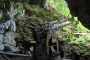 外国人「パラオのジャングルで眠る日本軍の大砲をご覧ください」