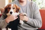 韓国人「大谷の愛犬の正体に日本列島が熱狂！」大谷の犬の正体が公開される→「犬の名前が日本人しか理解出来ない‥（ﾌﾞﾙﾌﾞﾙ」　韓国の反応