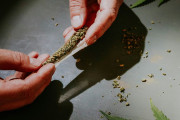 【海外】「大麻使用が精神病に与える影響？黒い脳の斑点が示す驚きの関連性とは」
