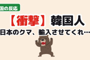 【衝撃】韓国人「日本のクマ、輸入させてくれ…」→理由がヤバかった