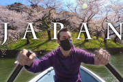 海外「うらやましい…！」桜満開の東京を超小型アクションカメラで撮影した映像に注目