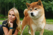 海外「なんて素敵な犬なの！」日本の代表的な犬種、柴犬。その特徴や魅力を紹介した動画に反応続々！