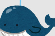 海外「巨大なクジラって人間を襲わないの！？」SUPボードに乗る人間に巨大な鯨が近づく様子が話題に
