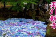 あじさいを浮かべた日本の池が美しすぎると話題に（海外の反応）