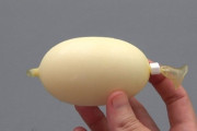 ディノエッグアイスなど日本の食べ物を紹介　海外の反応