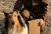 アメリカ運送会社「ドライバーが出会った微笑ましい犬の写真を見せていく！」