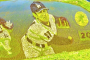 韓国人「田んぼに野球選手『大谷』登場…一日最大2000人が訪れる『ここ』」