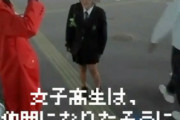 ドラクエ風「女子高生は仲間になりたそうにコチラをみている」