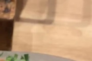 ネギだらけの日本の料理に世界騒然！←「量が多すぎる」（海外の反応）