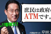 【韓国】国を挙げて花粉症対策してるけど、結局は国民の負担になるのか？