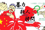 韓国人「最近の反中ムードが異常なまでに過熱しすぎている件」