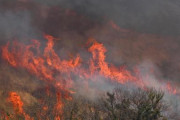 【陰謀論】韓国人「この山火事、誰かの仕業では？」