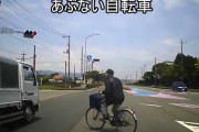 信号何ておかまいなし！我が道を行くチャリじいじ