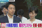 【中国の反応】小泉進次郎と滝川クリステルの結婚に「美男美女」「日本はどうして姉さん女房が多いの？」