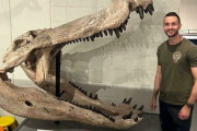 外国人「古代生物の壮大さが分かる画像を見せていく！」