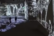 ゴッホ作品のデジタル展覧会の様子が「感動的」と海外が絶賛！海外の反応
