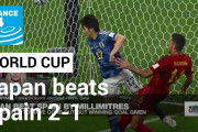 外国人「日本のサッカーを見て入れば、彼らは虎であることが分かるね」