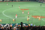 日本のプロ野球の試合はビール持ち込みOKなんだぜ！（海外の反応）