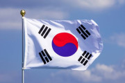 韓国人「カタールワールドカップ、太極旗を着た女が登場！」