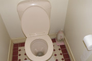 日本人は友人の家でトイレを借りないのか？←「女性ならありえるかも」（海外の反応）