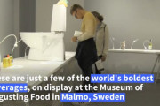 韓国のトンスル、スウェーデンの博物館に展示されてしまう＝韓国の反応