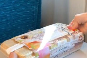 海外の反応：「どうやって温めたの？」日本の加熱式駅弁が話題