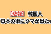 【悲報】韓国人「日本の街に“アレ”が出て、大学まで休校になったんだが…」