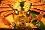 【動画】エリックさん、かに道楽でカニを食べる