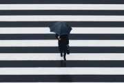 海外「日本の横断歩道は美しいな、どうやったらこんなに綺麗になるんだ？」外国人が東京で撮った写真が芸術的すぎると話題に