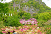 海外「日本の春の美しさ！これは天国への道！」九州の公園の花まつりを撮影した動画に反響（海外の反応）