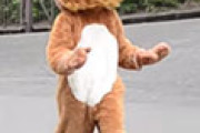 日本の動物園のライオン脱走訓練に外国人が驚愕 海外の反応