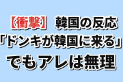 【衝撃】韓国人「ドンキが韓国に来る…でも、アレは絶対に無理」