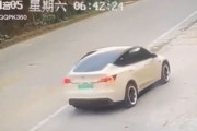 海外「中国でテスラ車が暴走？ブレーキせずに加速し続けて2人が死亡」