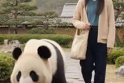 中国人「欧米人が中国の庭園よりも日本庭園のほうが好きな理由」　中国人「日本庭園は侘び寂びの美学」「中国はワイワイガヤガヤ」