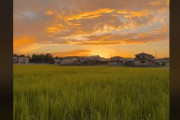 海外「これが私が恋した日本の風景…平和で懐かしくて泣きそうになる」日本の田舎の風景（海外の反応）