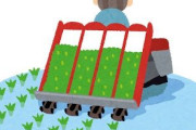 韓国人「日本さん、道路に田植えをしてしまう・・・」