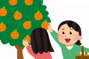 韓国人「やっぱり日本も、私たちのことが気になってるんですか？」