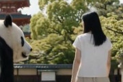 中国人「娘が初めての一人旅で日本に行っても安全？」　中国人「日本より安全な海外旅行先を挙げてみて」「財布は安全ではない」