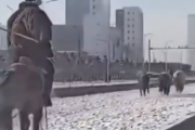 モンゴルの朝の馬がいる風景。道路の横で車と並走して走る馬で通勤してみたい。海外の反応