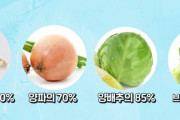【悲報】韓国人「反日韓国人が毎日食べている野菜や果物が日本品種だった‥」→「日本産だらけだったのですか？‥」　韓国の反応